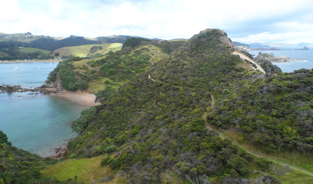 Mahinepua Peninsular Track