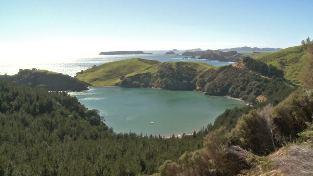 private beach and forestry